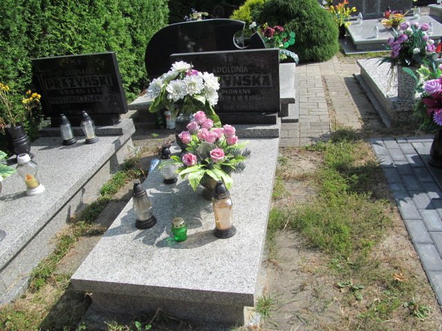 Grób Apolonia Prażyńska