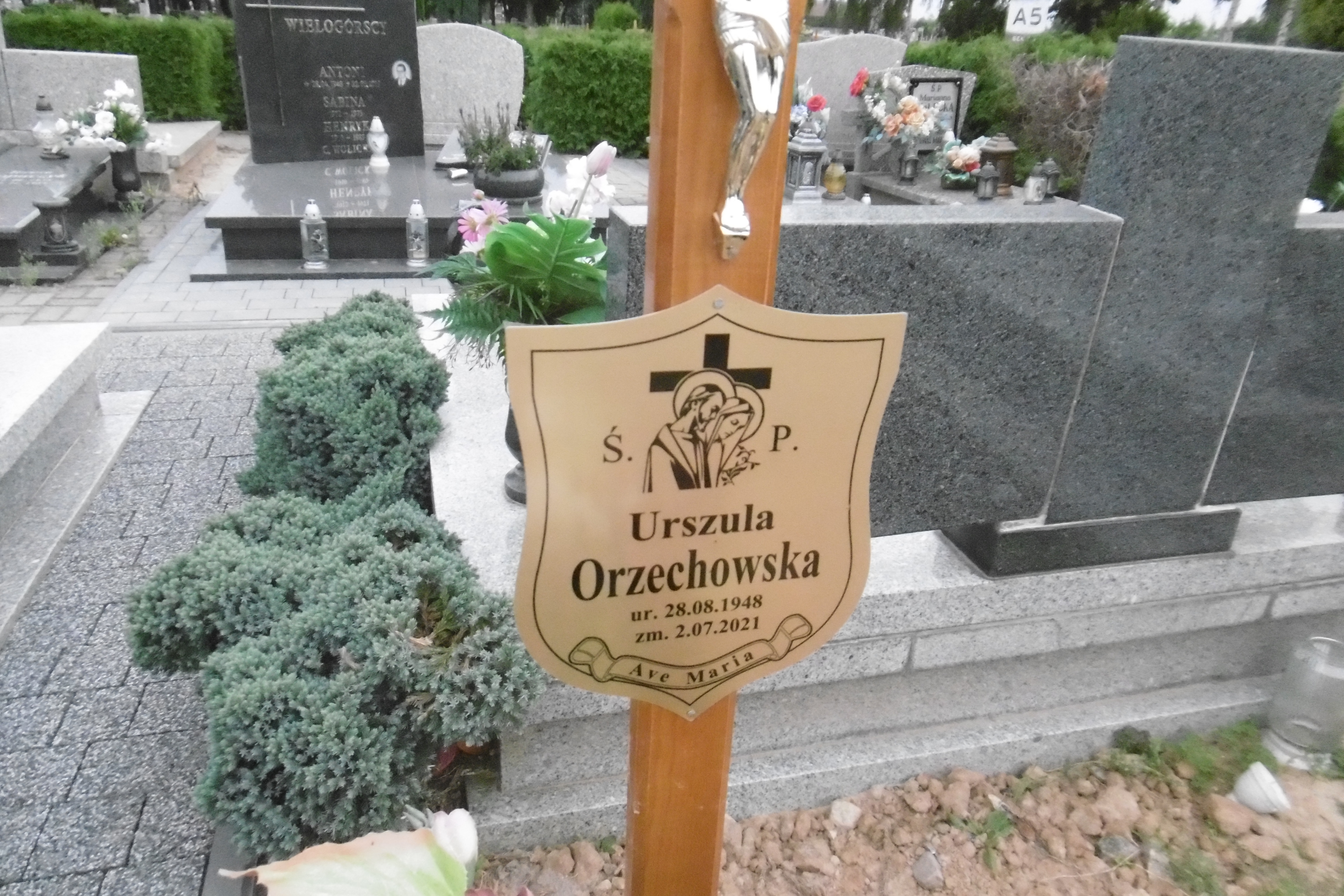 Zdjęcie grobu